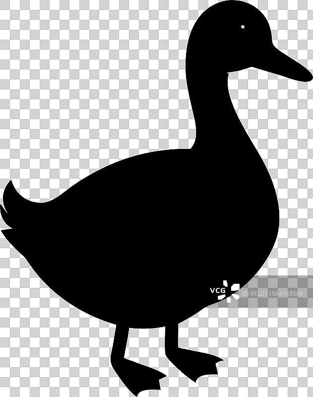 黑色轮廓的鸭子标志，孤立在白色背景上图片素材