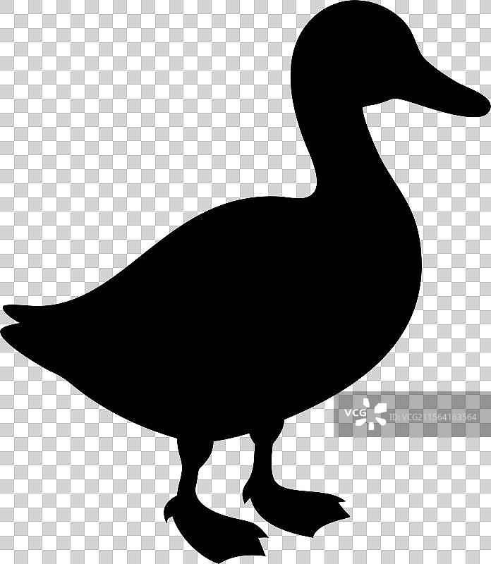 黑色鸭子剪影标志，孤立在白色背景上图片素材