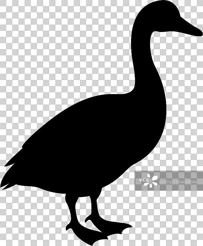 黑色鸭子剪影标志，孤立在白色背景上图片素材