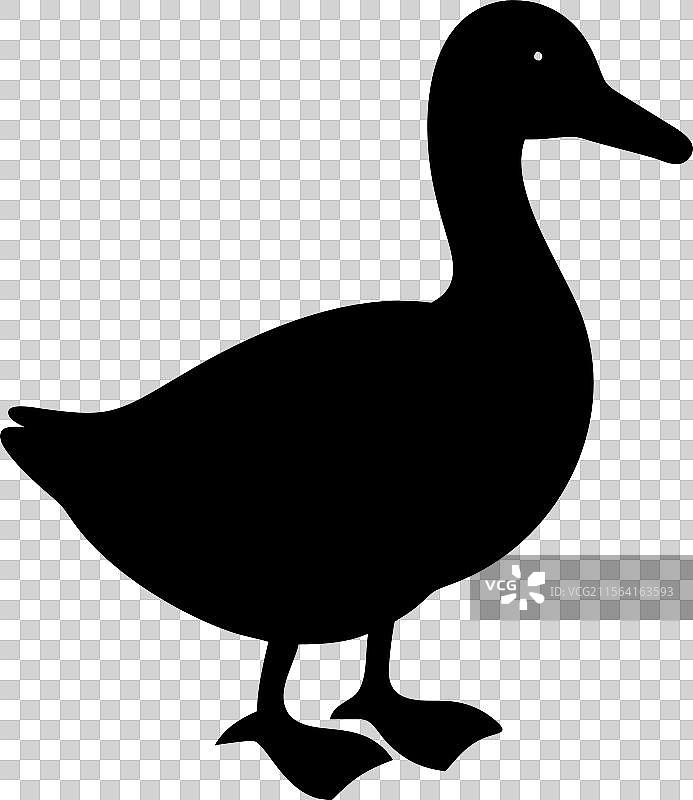 黑色鸭子剪影标志，孤立在白色背景上图片素材