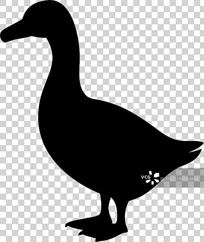 黑色鸭子轮廓标志，孤立在白色背景上图片素材
