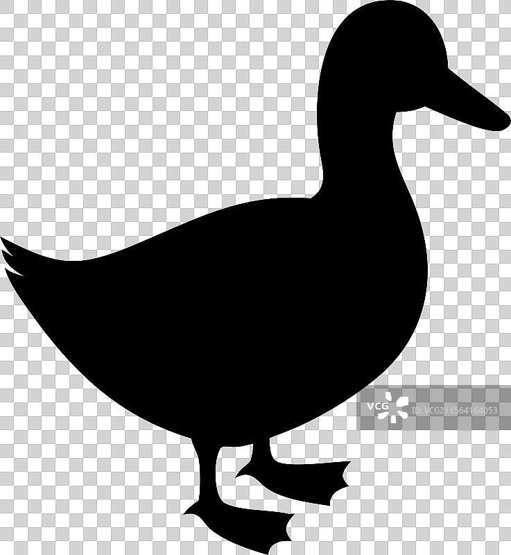 黑色鸭子轮廓标志，孤立在白色背景上图片素材