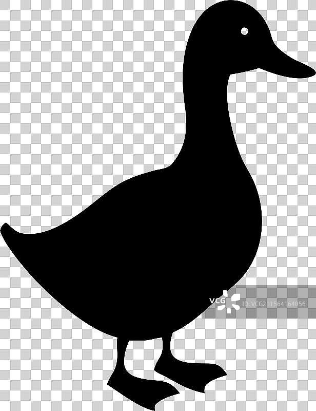 黑色轮廓的鸭子标志，孤立在白色背景上图片素材