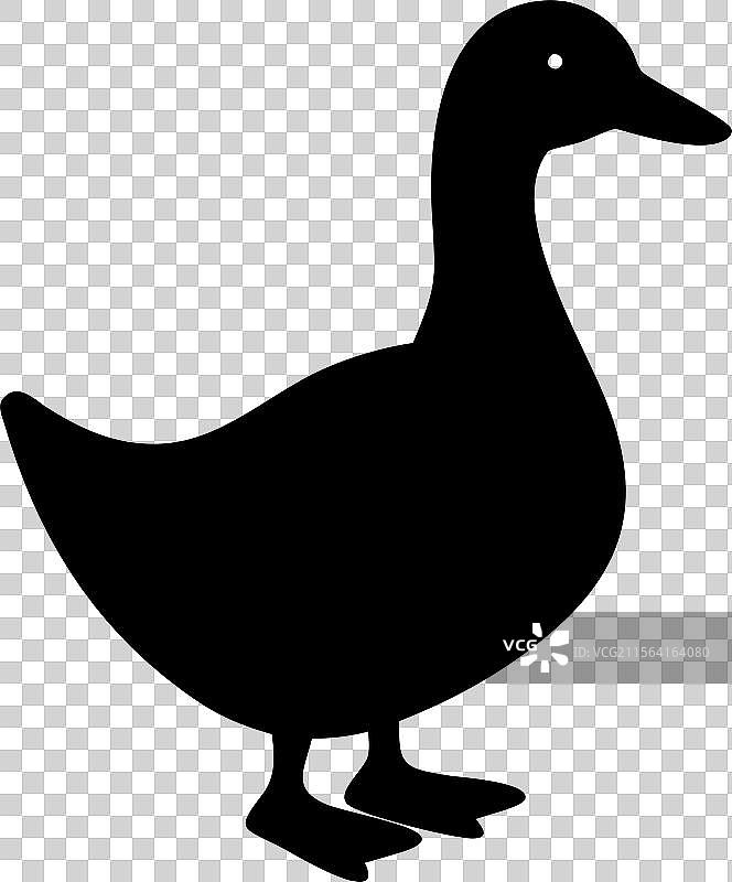 黑色鸭子剪影标志，孤立在白色背景上图片素材