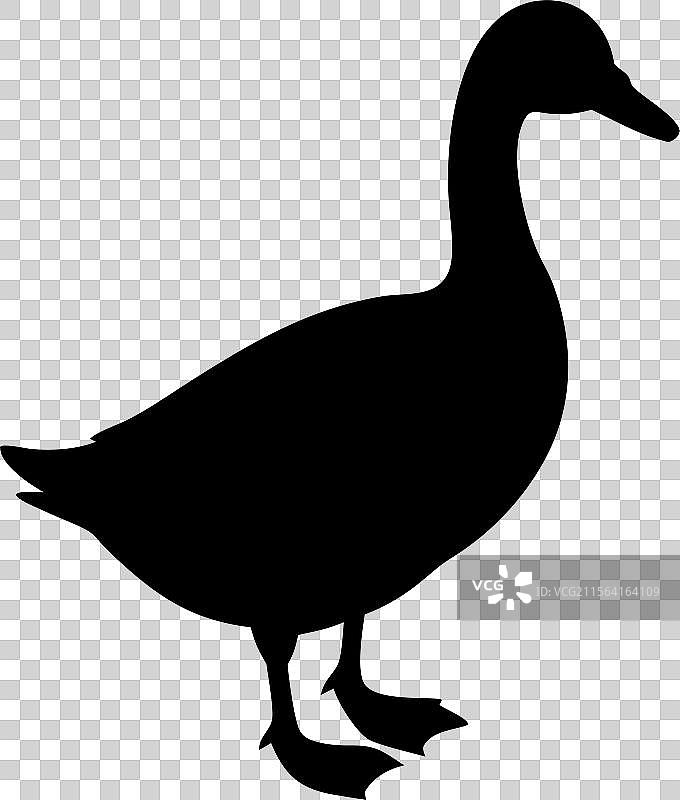 黑色轮廓的鸭子标志，孤立在白色背景上图片素材