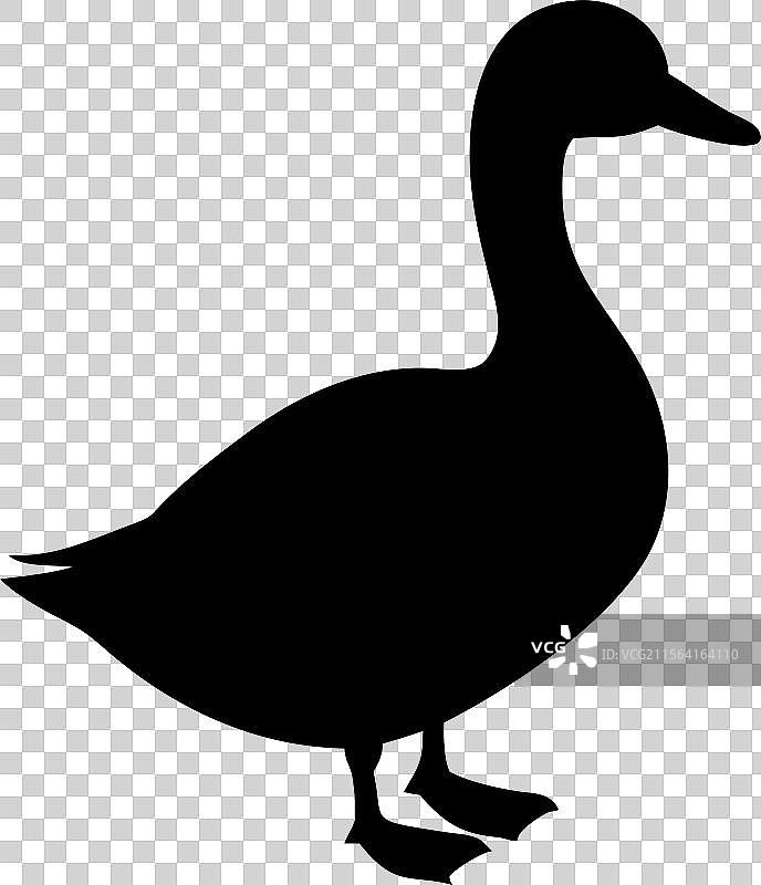 黑色鸭子剪影标志，孤立在白色背景上图片素材