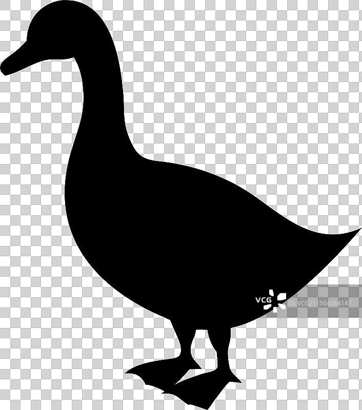 黑色鸭子剪影标志，孤立在白色背景上图片素材