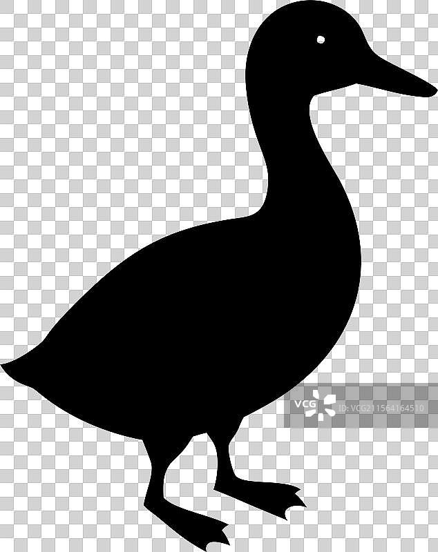 黑色鸭子剪影标志，孤立在白色背景上图片素材