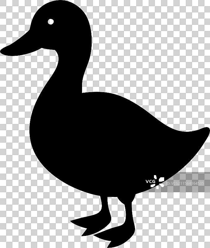 黑色鸭子剪影在白色背景上孤立展示图片素材
