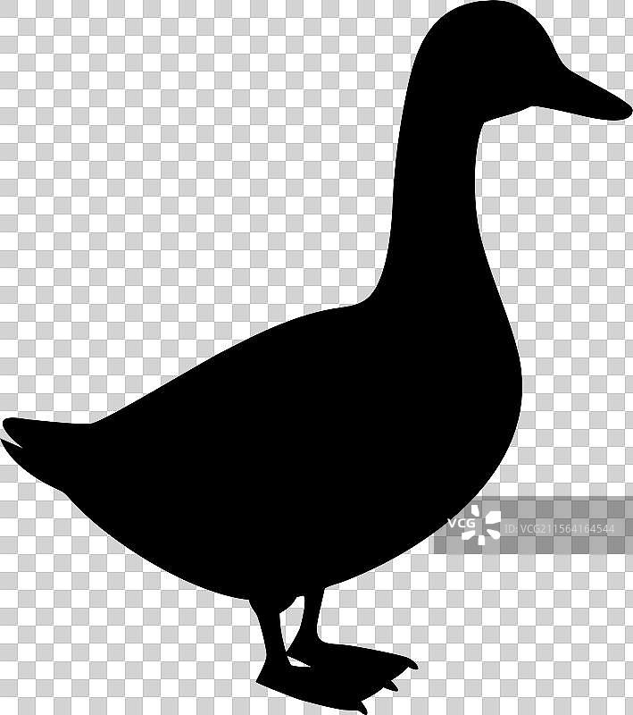 黑色鸭子轮廓标志，孤立在白色背景上图片素材
