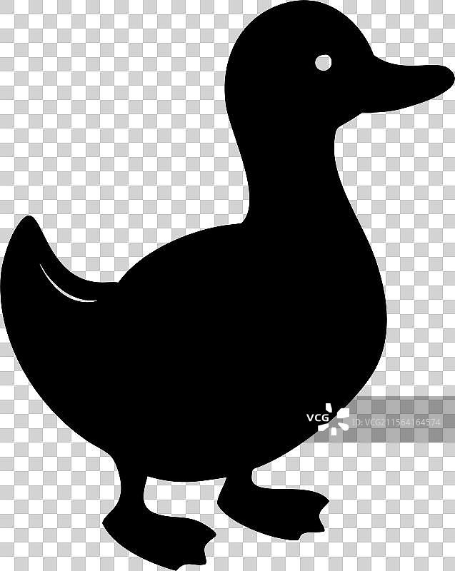 黑色轮廓的鸭子标志，孤立在白色背景上图片素材