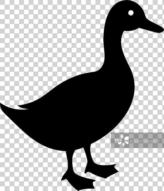 黑色鸭子轮廓标志，孤立在白色背景上图片素材