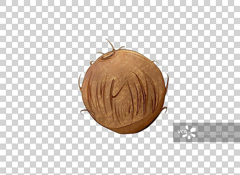 一颗椰子图片素材