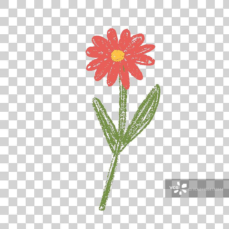 春天雏菊植物的蜡笔涂鸦图片素材