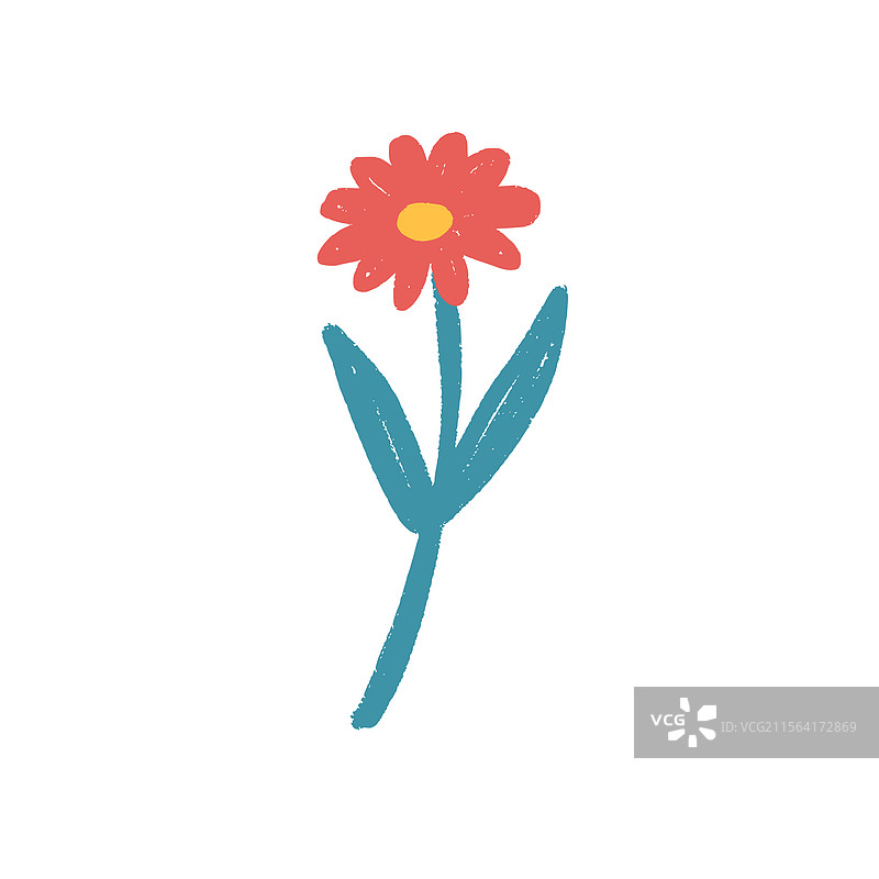 春天雏菊植物的蜡笔涂鸦图片素材