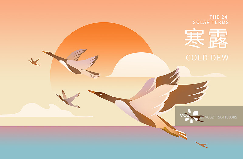 秋季夕阳下海边迁徙的大雁南飞插画图片素材