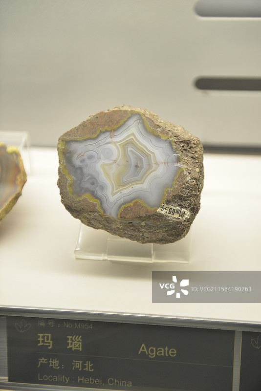 中国地质博物馆矿物化石岩石宝石标本图片素材