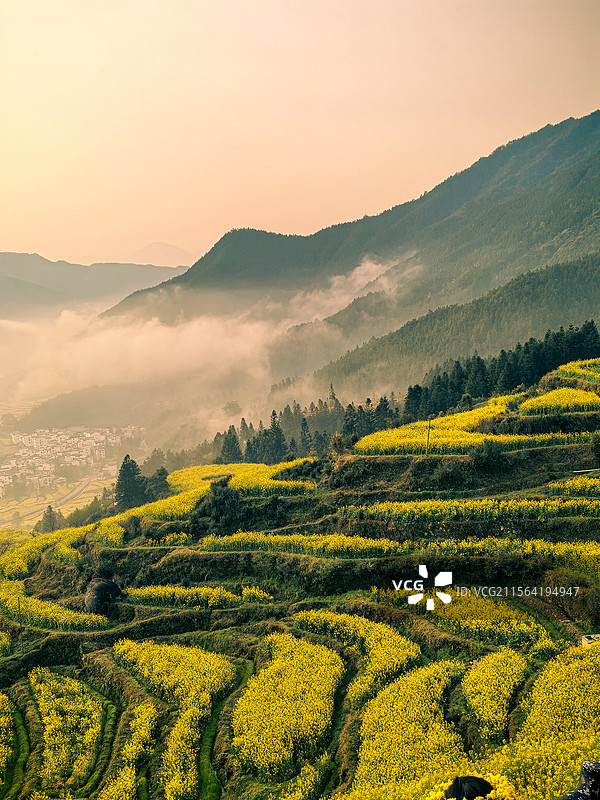 雾隐山林图片素材