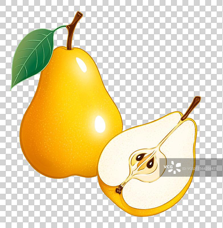 梨手绘插画图片素材