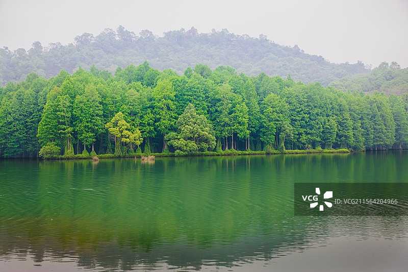 下雨后的台山石花山水库，青山绿水，雾气飘飘图片素材
