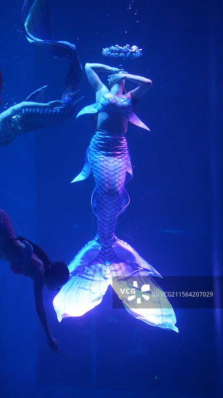 深圳小梅沙水族馆美人鱼表演者图片素材