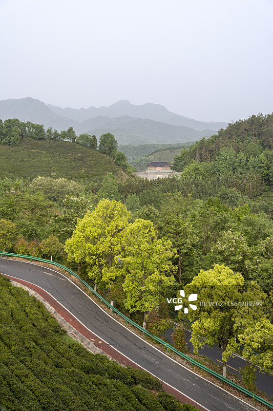 襄阳谷城五山玉皇剑茶园景区旅游建筑风光自然风景图片素材