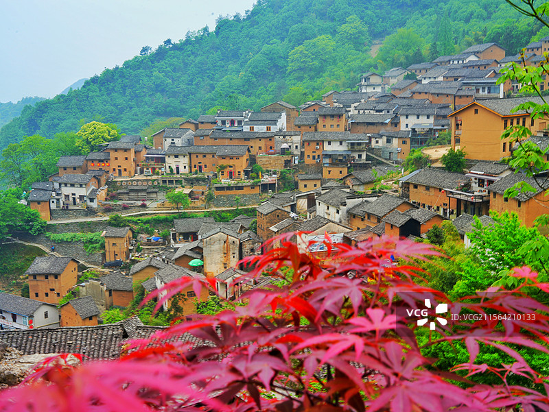 红叶映土楼（安徽黄山歙县）图片素材