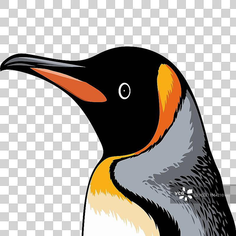 优雅的国王企鹅艺术图片素材