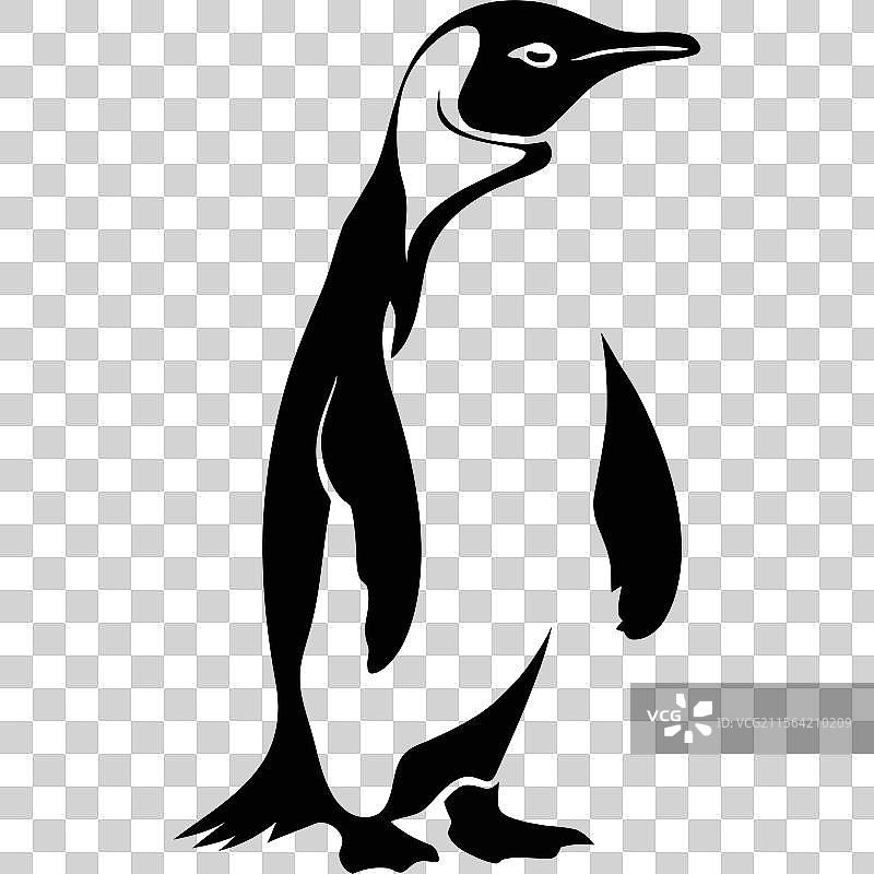 优雅的国王企鹅艺术图片素材