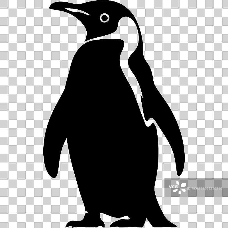 优雅的国王企鹅艺术图片素材