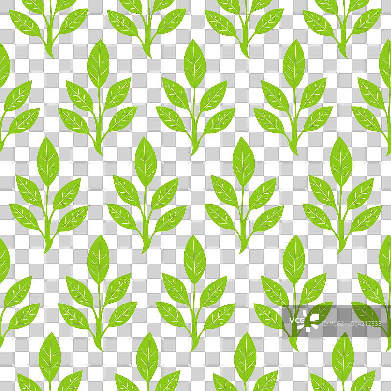无缝图案绿色叶子图片素材