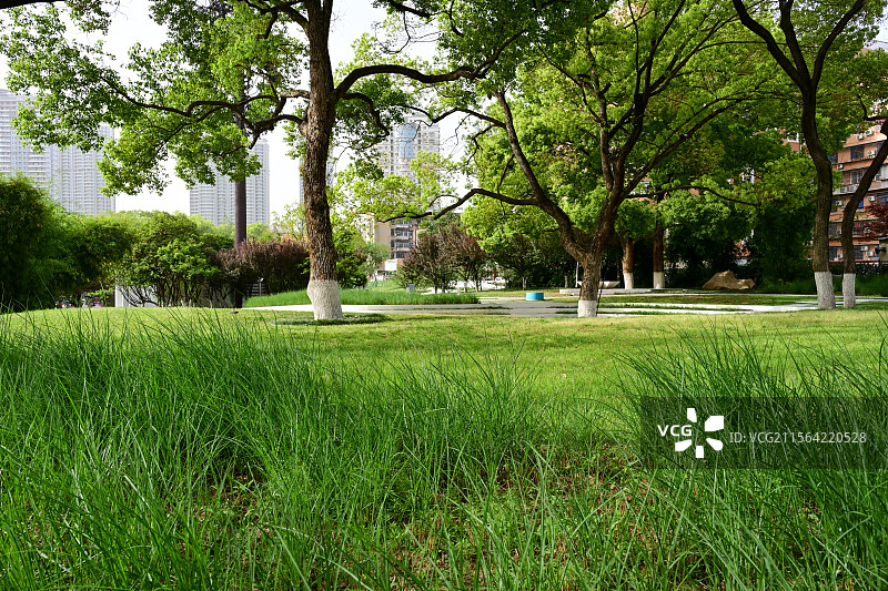 宜昌街心公园街景城市绿化绿色园林自然风光图片素材