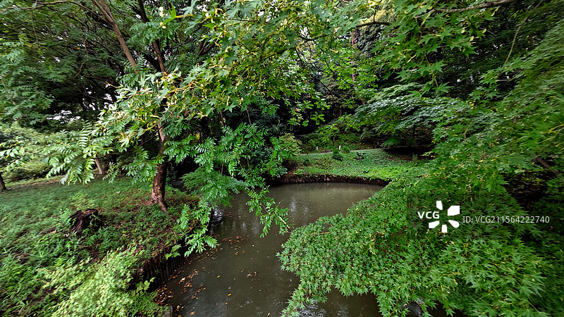日本东京六义园是江户时代大名庭园的代表作以和歌山的情趣为基调的 “回游式假山泉水” 春天樱花盛开秋天图片素材
