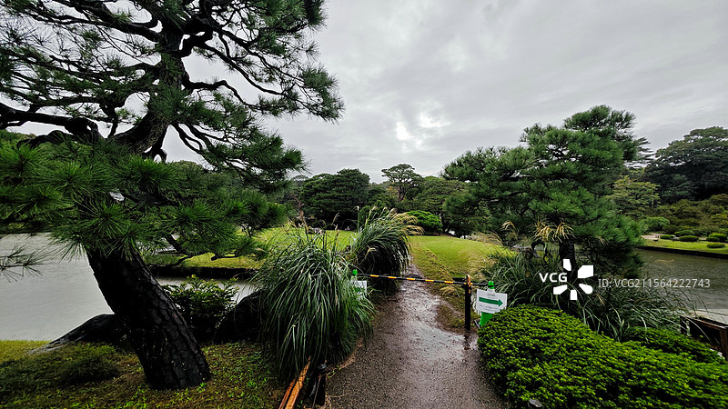 日本东京六义园是江户时代大名庭园的代表作以和歌山的情趣为基调的 “回游式假山泉水” 春天樱花盛开秋天图片素材