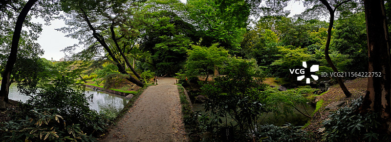 日本东京六义园是江户时代大名庭园的代表作以和歌山的情趣为基调的 “回游式假山泉水” 春天樱花盛开秋天图片素材