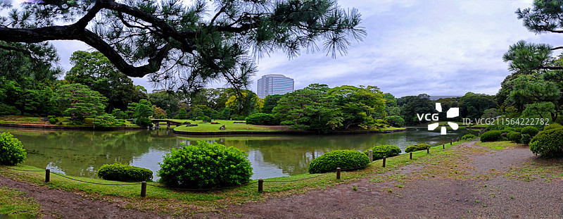 日本东京六义园是江户时代大名庭园的代表作以和歌山的情趣为基调的 “回游式假山泉水” 春天樱花盛开秋天图片素材