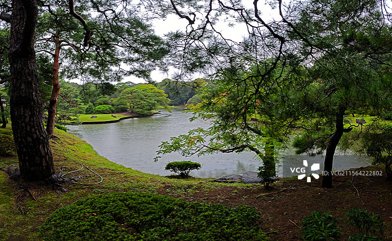 日本东京六义园是江户时代大名庭园的代表作以和歌山的情趣为基调的 “回游式假山泉水” 春天樱花盛开秋天图片素材