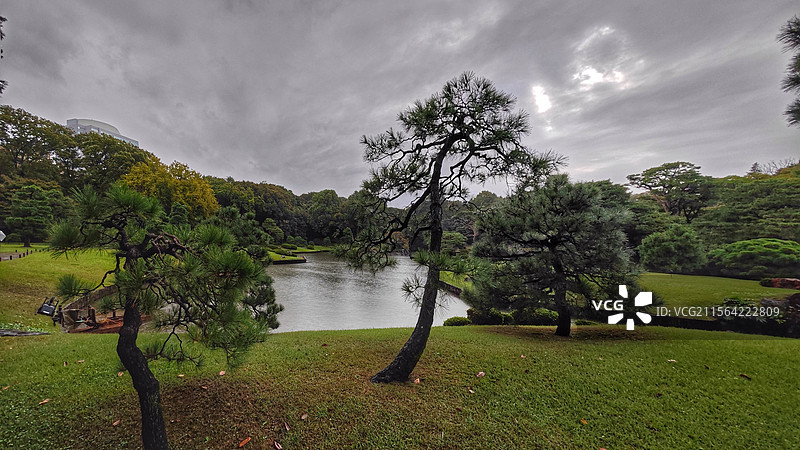 日本东京六义园是江户时代大名庭园的代表作以和歌山的情趣为基调的 “回游式假山泉水” 春天樱花盛开秋天图片素材