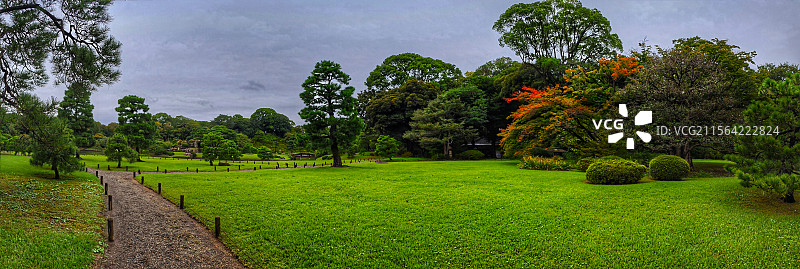 日本东京六义园是江户时代大名庭园的代表作以和歌山的情趣为基调的 “回游式假山泉水” 春天樱花盛开秋天图片素材