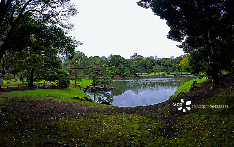 日本东京六义园是江户时代大名庭园的代表作以和歌山的情趣为基调的 “回游式假山泉水” 春天樱花盛开秋天图片素材