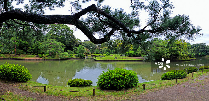 日本东京六义园是江户时代大名庭园的代表作以和歌山的情趣为基调的 “回游式假山泉水” 春天樱花盛开秋天图片素材