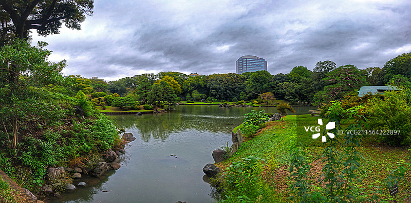 日本东京六义园是江户时代大名庭园的代表作以和歌山的情趣为基调的 “回游式假山泉水” 春天樱花盛开秋天图片素材