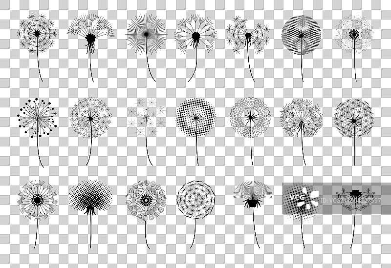 蒲公英剪影，自然，花朵，种子飞舞图片素材