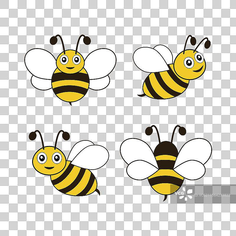 一组黄色和黑色蜜蜂的图片图片素材