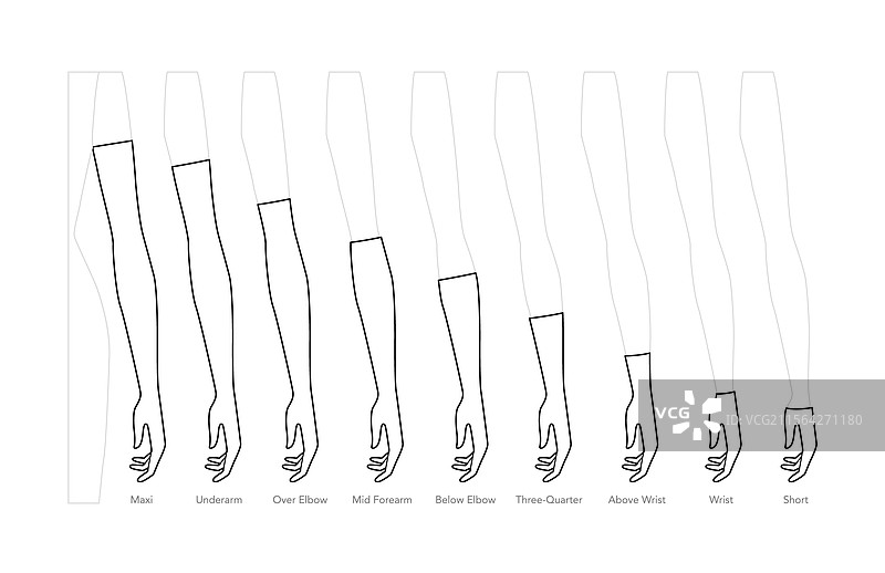 手套长度图表及名称文本图片素材