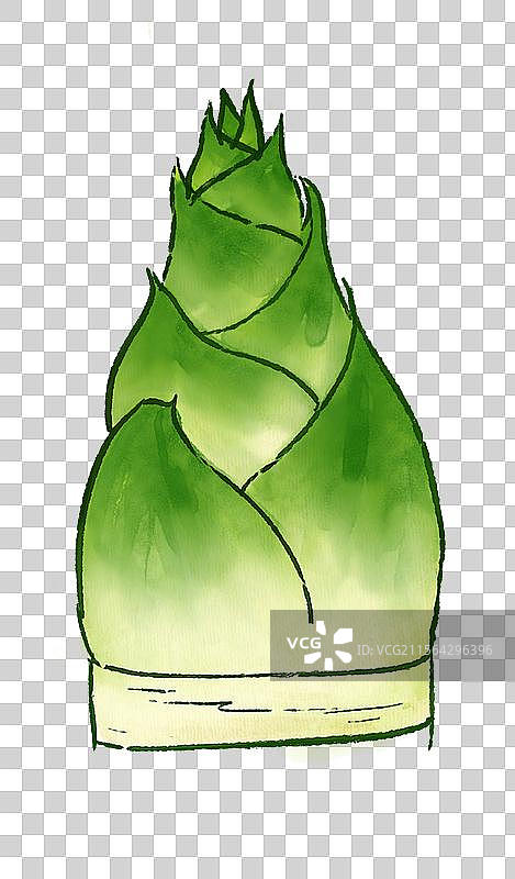 竹笋插画图片素材