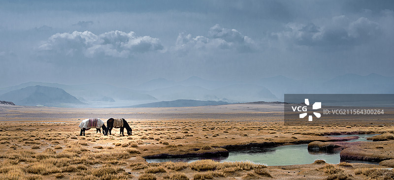 静谧草原图片素材