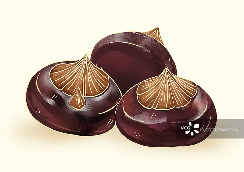 马蹄荸荠蔬菜水果美食食物手绘插画图片素材