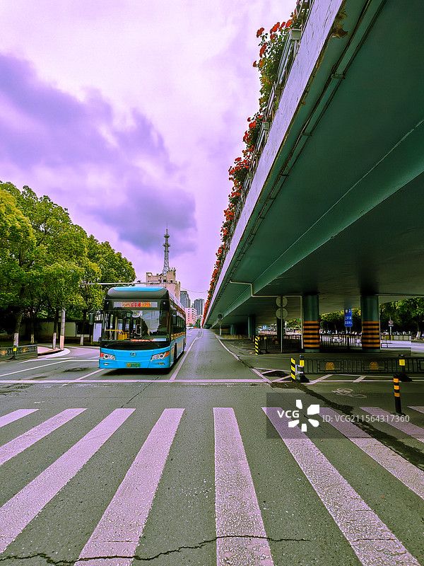 停在斑马线前的公交车图片素材