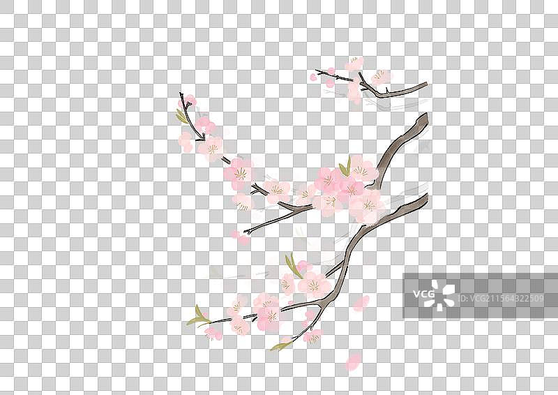杏花樱花插画元素图片素材